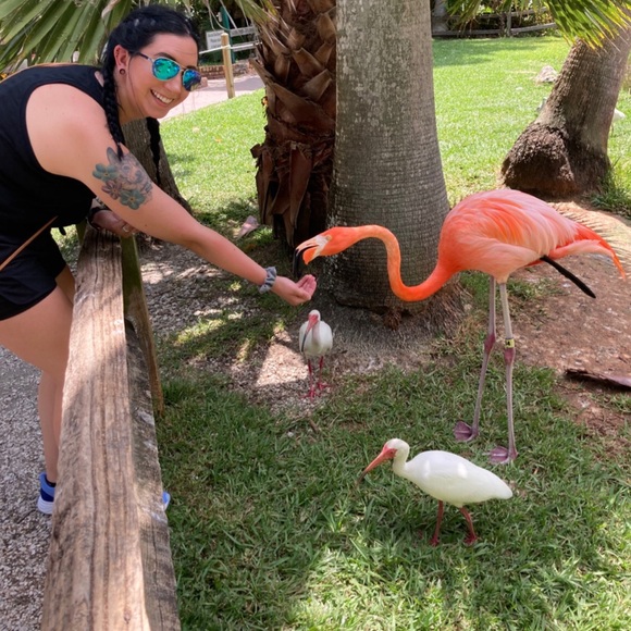 Meet your Posher, Molly - Picture 6 of 6